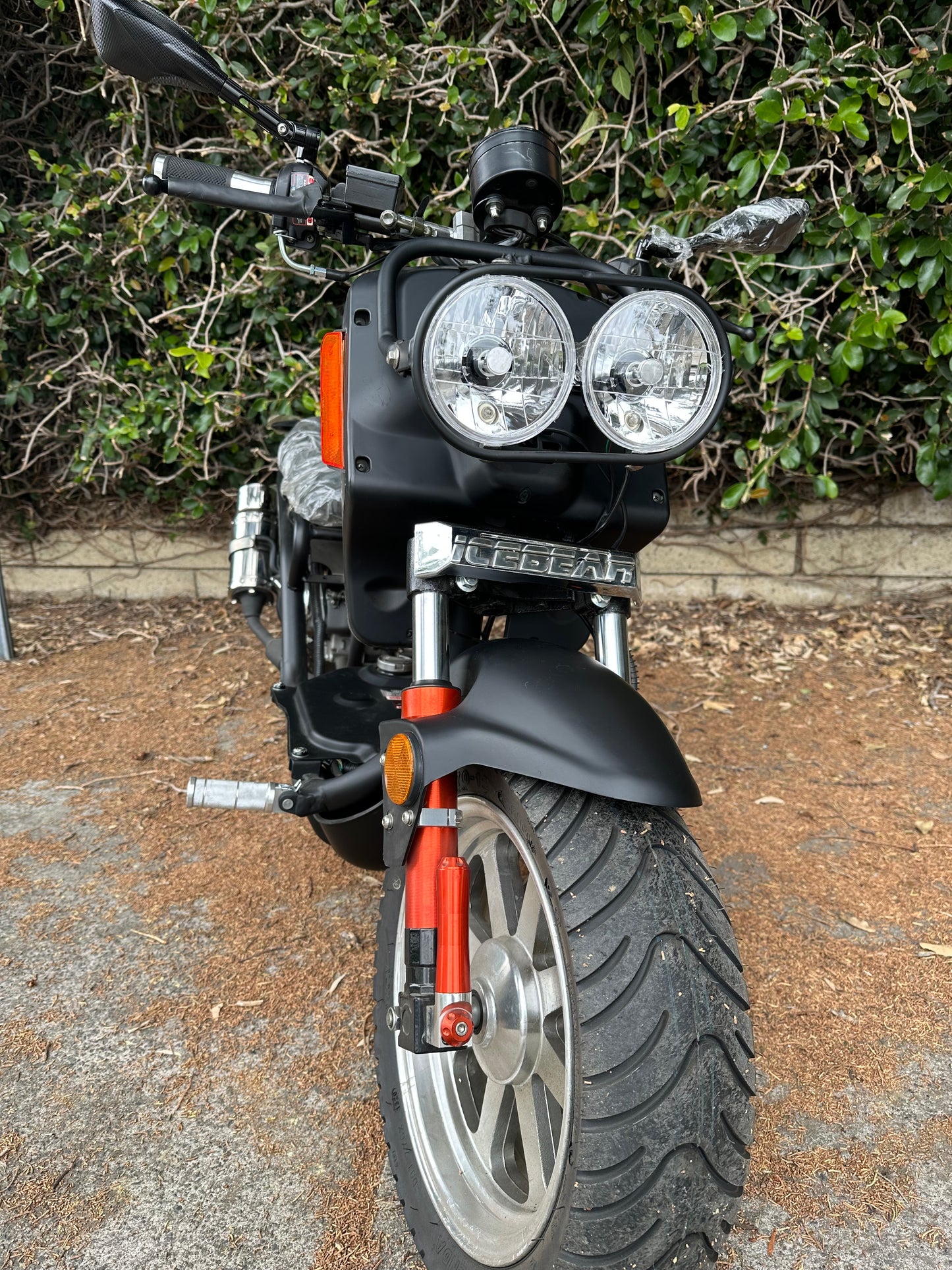 50cc Maddog Gen IV(PMZ50-21)