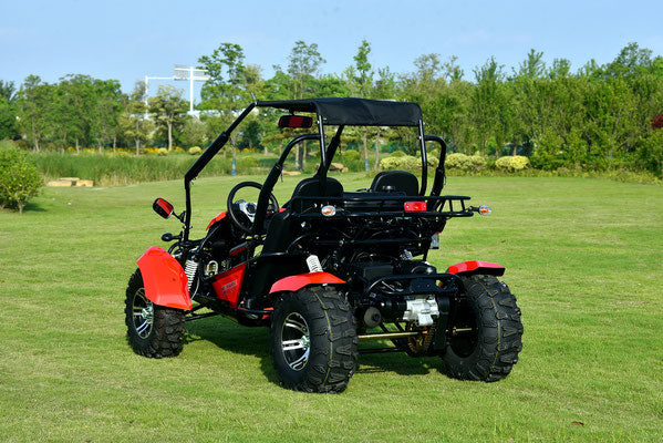 Vitacci Venture 200cc EFI GO-KART