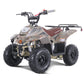 Tao Motor B110