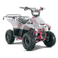 Tao Motor B110