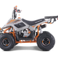 Tao Motor B110