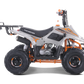 Tao Motor B110