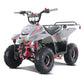Tao Motor B110