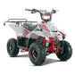 Tao Motor B110