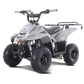 Tao Motor B110