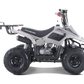 Tao Motor B110