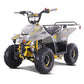 Tao Motor B110