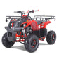 TAO MOTOR D125 ATV