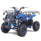TAO MOTOR D125 ATV