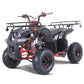 TAO MOTOR D125 ATV
