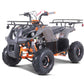 TAO MOTOR D125 ATV