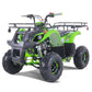 TAO MOTOR D125 ATV