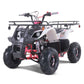 TAO MOTOR D125 ATV