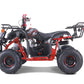 TAO MOTOR D125 ATV