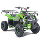 TAO MOTOR D125 ATV