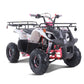 TAO MOTOR D125 ATV