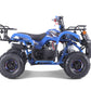 TAO MOTOR D125 ATV
