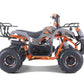 TAO MOTOR D125 ATV