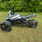 vitacci Spider 200cc Street legal Trike with reverse
