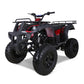 Tao Motor Bull 150