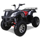 Tao Motor Bull 200s