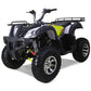 Tao Motor Bull 200s