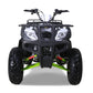 Tao Motor Bull 200s