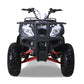 Tao Motor Bull 200s