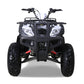 Tao Motor Bull 200s