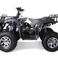 Tao Motor Bull 200s