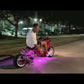 150cc Maddog Gen I( PMZ150-19)